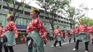 原宿よさこい連・原宿スーパーよさこい表参道アヴェニュー2016年8月28日。