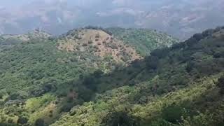 CERRO DE LA MUSICA 😊🌲🌿RANCHO VIEJO LUVIANOS ESTADO DE MEXICO...🌹🥀....