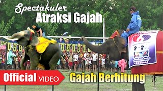 Atraksi Gajah - Gajah Berhitung (Official Video)