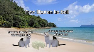 Pov: liburan ke Bali (2) | Meme Kucing | #pov #meme #kucing #cat