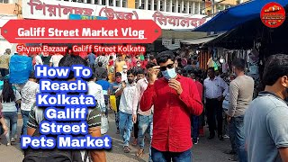 Galiff Street Fish Market Kolkata - Vlog 2021