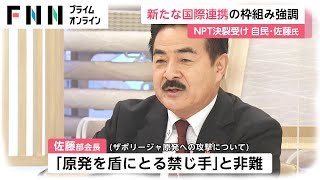 新たな国際連携の枠組み強調　NPT決裁受け 自民・佐藤正久氏