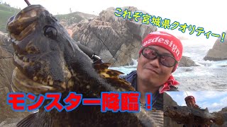 【モンスターベッコウゾイ】宮城県金華山磯ロック！@HUNTER-NORI-CO2