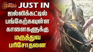 ஜல்லிக்கட்டில் பங்கேற்கவுள்ள காளைகளுக்கு மருத்துவ பரிசோதனை | Madurai | Jallikattu | Medical Test