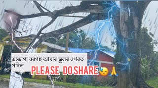 আমাৰ‌ স্কুলৰ ওপৰতে এজোপা বৰ‌গছ মৰি পৰো অৱস্থা। ঊৰ্ধতম কৰ্তৃপক্ষলৈ জনাবৰ কাৰণে সকলোৱে শ্বেয়াৰ কৰিব