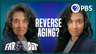 How to Stop (And Even Reverse) Aging