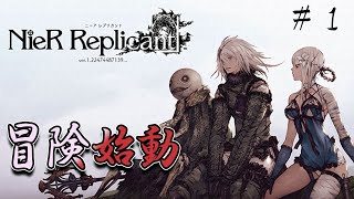 [Nier Replicant ver1.22] #1 初見なので右も左もわからないけど、ヒロインはめっちゃかわいいのだけはわかった。