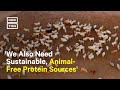 How Meat Production Contributes to Climate Change