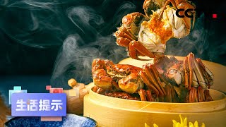 秋风时节 水产上市选择多 20210924 |《生活提示》CCTV科教