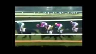 競馬 2007年上半期G1レース動画集