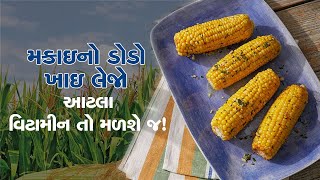 મકાઇના ડોડામાં કયા વિટામીન હોય છે? આ જાણી જશો તો આજથી ખાવાનું શરૂ કરી દેશો!