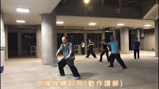 楊家老架太極拳(71)–倒攆猴轉斜飛–溫國光老師