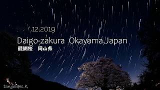 岡山 千年桜　醍醐桜と天の川星景～Cherry blossoms 2019 \u0026 Milky way~