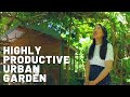 Highly productive urban farm / Sustainable garden  / Permaculture / Edible beauty / Fruit & Veggies