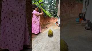 Jack fruit 😍 #shorts #trendingonshorts #family #cooking