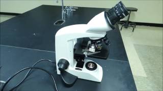 Compound Microscope Tutorial - Boston University Biology