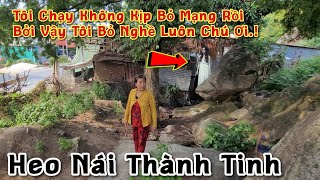 Phát hiện Người Phụ Nữ Phải Bỏ Nghề Nuôi Heo Nái Gấp, Vì Gặp Chuyện Ớn Óc Này - Chuyện Nhân Qủa