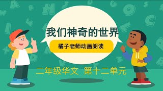 【二年级华文课本】《我们神奇的世界》l课文动画朗读｜生字解释｜识字｜第12单元｜