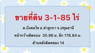 ขายที่ดิน 3-1-85 ไร่ คลอง 14  ลำลูกกา ปทุมฯ หน้าติดถนนหลัก หลังติดคลอง ที่สวย บรรยากาศดีเดินทางสะดวก