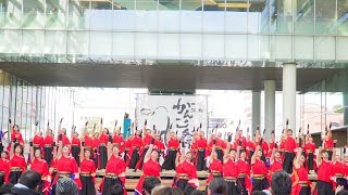 [4K]早稲田大学 踊り侍　浜松がんこ祭り2018 2日目 ソラモ会場