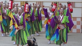 旭食品　2016よさこい全国大会　高知城会場　４K　2016 8 12