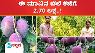 Miyazaki Mango : ಕೆಜಿಗೆ 2.70 ಲಕ್ಷ ಬೆಲೆಯ ಮಿಯಾಜಾಕಿ ಮಾವಿನಹಣ್ಣಿನ ವಿಶೇಷ ಏನು ಗೊತ್ತಾ..?!