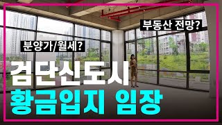 검단신도시 상가 투자, 창업 성공비법? 분양가와 임대료는 얼마일까요? - 랜선임장 센트럴시티