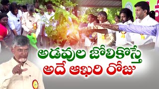 అడవుల సంరక్షణ కోసం డ్రోన్లు వినియోగిస్తాం | చంద్రబాబు | Vana Mahotsavam Program