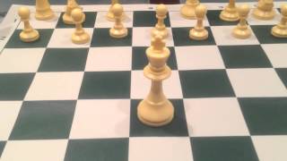 Chess Lesson (Level A): How Pieces Move