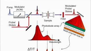 FT Pump Probe