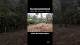 Land for sale in Bemmulla 🥰🥰🥰