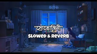 Srotoshinni ( স্রোতস্বিনী ) - @ENCOREtheband  I Slowed \u0026 Reverb I [Lyrics] I Music Court