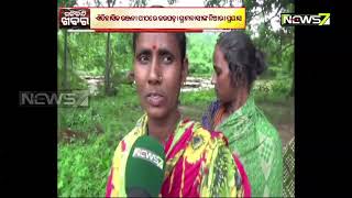 Villagers Plant Tree in Redhakhol's Tourist Place Ranjana Pitha