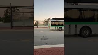 Buses at Henley Brook Bus Station #Transperth #wa #perth #buses #australia