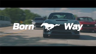 [The All-New 2024 Ford Mustang Launch Film 30']