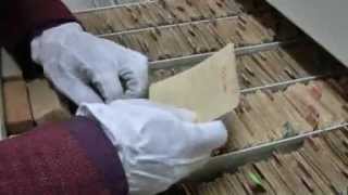 Digitization of the Auschwitz Memorial Archives (Auschwitz Memorial)