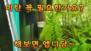 수초항에 이탄 꼭 필요하나요? 이걸보시면 답이 보입니다