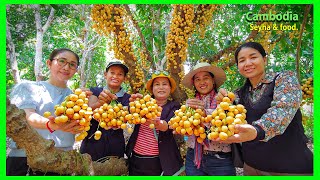 Funny Morning  With Local Food In Knat Village! Best Rice Noodle \u0026 Beautiful Burmese Grape Garden.