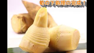 ２分で分かるタケノコの下処理の仕方：How to handle the bamboo shoots in two min