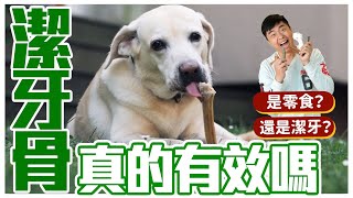 這集吃了誠實豆沙包！是零食？還是潔牙？潔牙骨真的有效嗎？有這種情況千萬不要用！dental chews for dogs｜@熊爸估狗dogtrainer