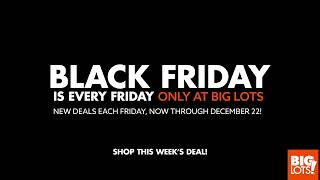 Black Friday Is Every Friday At Big Lots