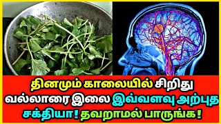 தினமும் சிறிது வல்லாரை இலை இவ்வளவு அற்புத சக்தியா | Vallarai Keerai | Health tips | Ayurveda