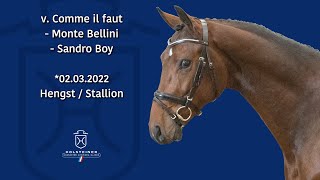 Holsteiner Körlot 2024 | Nr. 21 Comme il faut - Monte Bellini - Sandro Boy