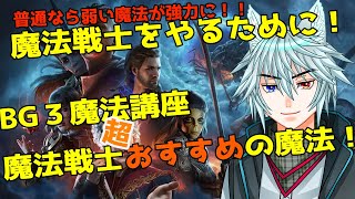 ゲームを楽しむための魔法講座「魔法戦士のおすすめ魔法」について！#バルダーズゲート3