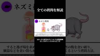 全拷問解説　ネズミ拷問　 #shorts #ゆっくり解説 #雑学 #拷問