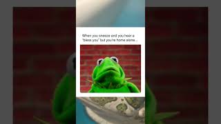 🐸 I trusted the process… it betrayed me #kermit #memes #funny #fyp #animals #relationships