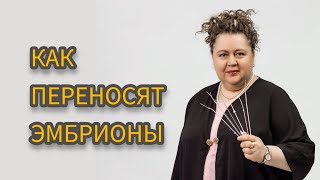 КАК ПЕРЕНОСЯТ ЭМБРИОНЫ В ПОЛОСТЬ МАТКИ