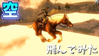 エポナで空を飛んでみた【ゼルダの伝説　トワイライトプリンセスHD】