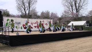 Dance✩F✩Company 騎勇舞　（篠山よさこいまつり2015/4/12）