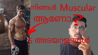 നിങ്ങൾ കൂടുതൽ Muscular/Masculine ആണൊ എന്നതിന്  അടയാളങ്ങൾ |Signs that you are more muscular malayalam